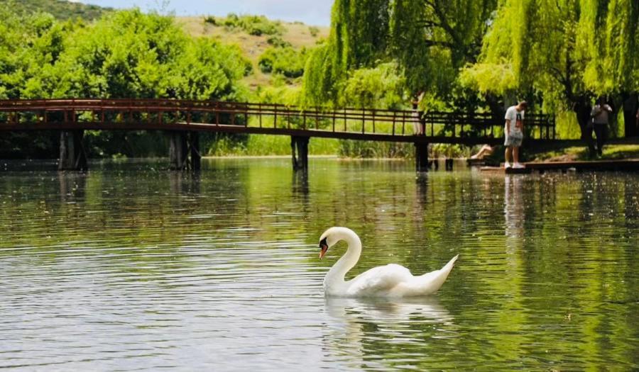 Charming House Apartment Pogradec Bagian luar foto