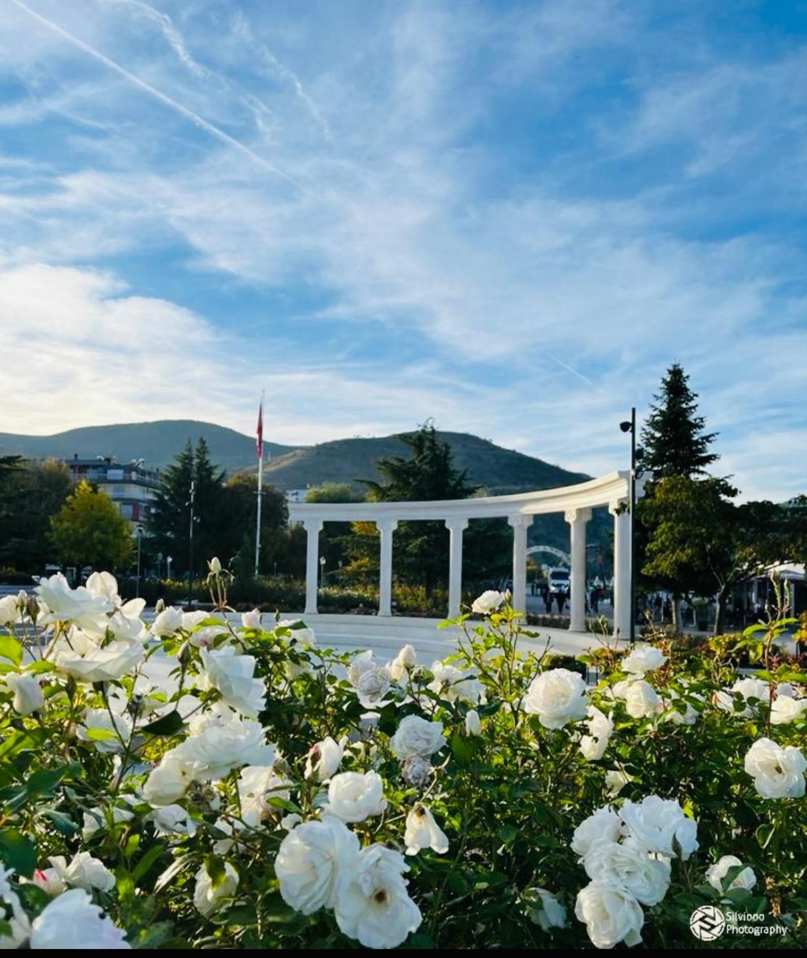 Charming House Apartment Pogradec Bagian luar foto