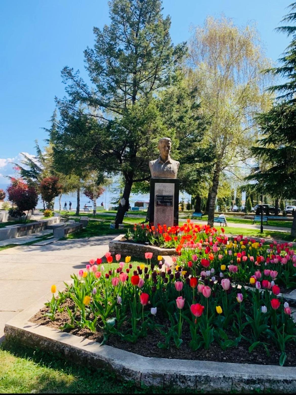 Charming House Apartment Pogradec Bagian luar foto